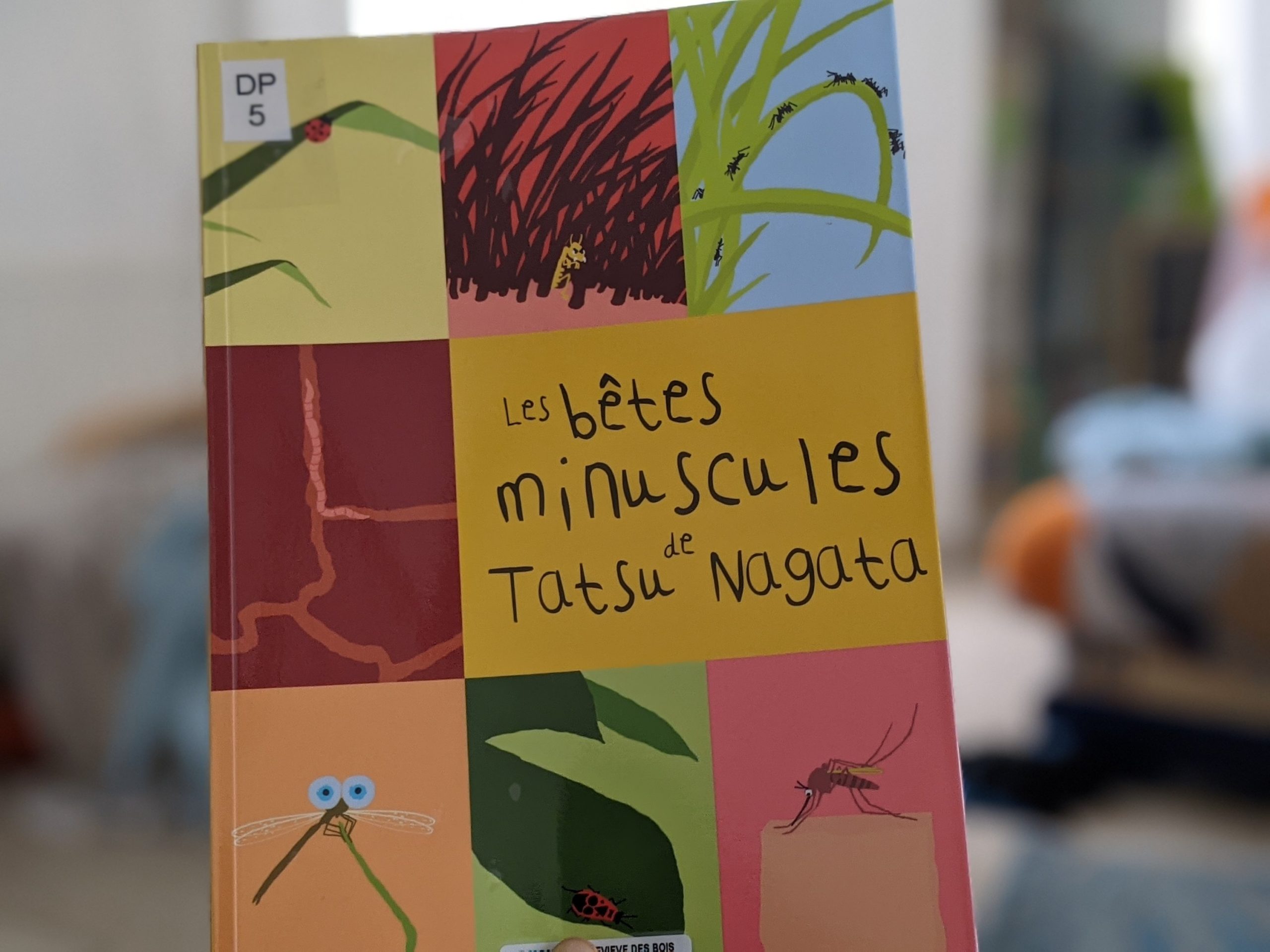 Papa m’a dit que son meilleur ami était un homme-grenouille – Alain Le Saux