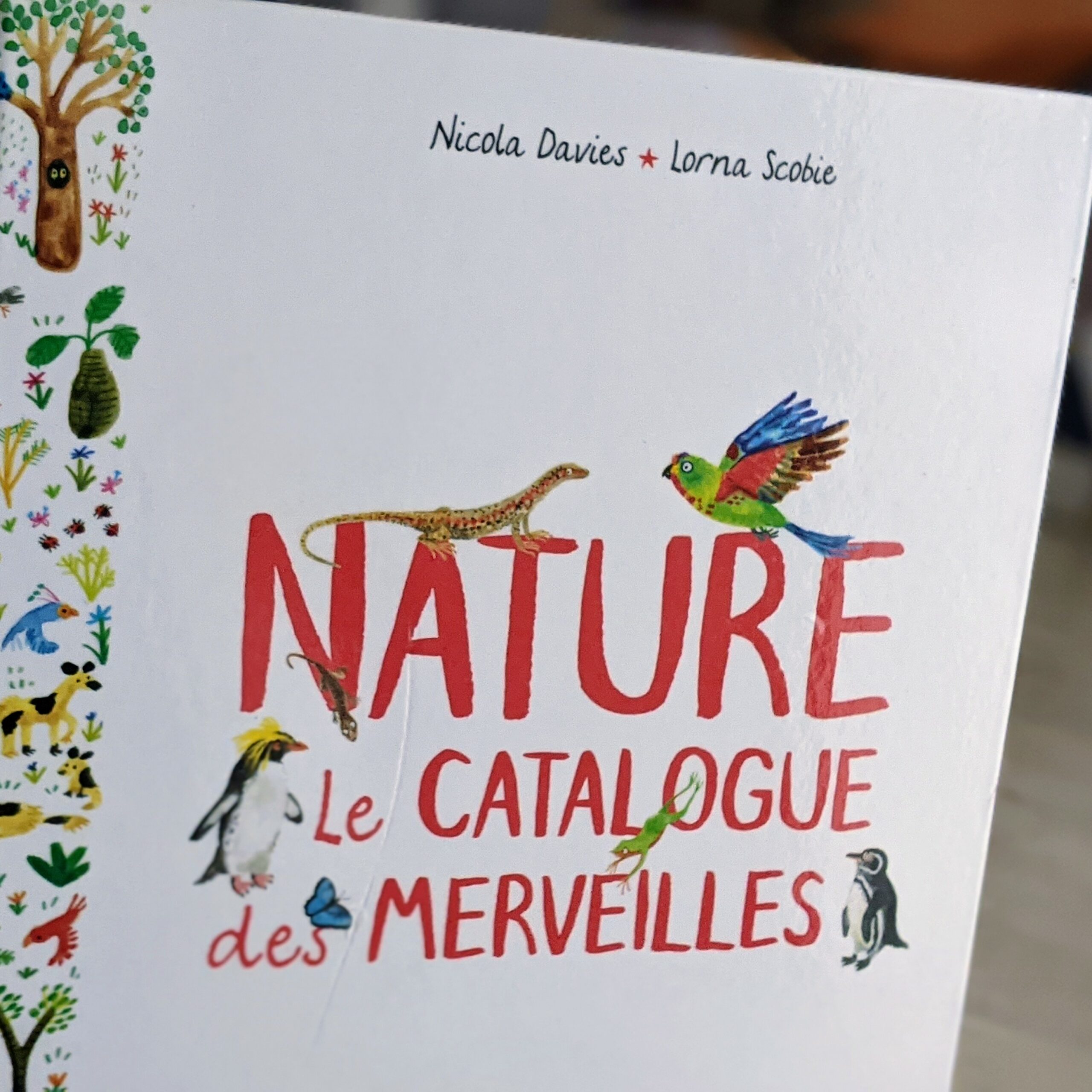 Animaux sans queue ni tête – Camille de Cussac